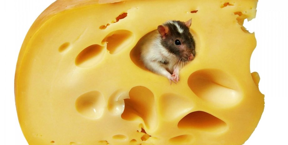 Фото: Поэмбук