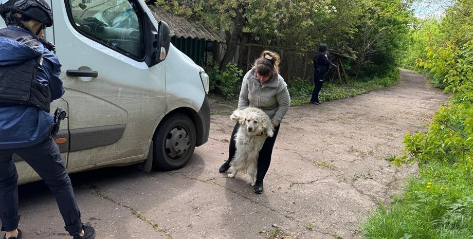 собака, евакуація, прикордоння сумщина, білі янголи евакуація
