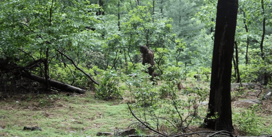 Снежный человек, йети, снежный человек с детенышем, снежный человек в лесу, детеныш на спине, качественные снимки,
