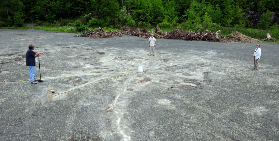 містечко Каїр, лісову ділянку, залишки лісу, фото