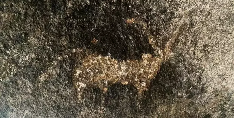 Девгадх Барія, ведмеді-лінивці, середній кам'яний вік, наскельні малюнки, археологічне відкриття, епоха мезоліту, заповідна лісова зона, житло людини, стародавнє мистецтво