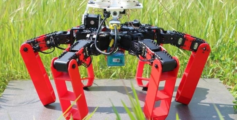 Julien Dupeyroux, ISM (CNRS/AMU)