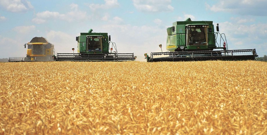 Фото: УНИАН