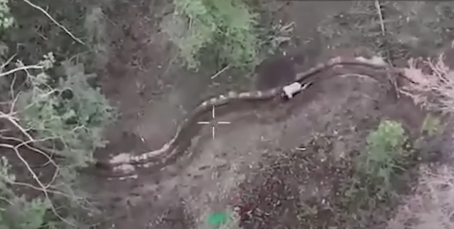 военные, ВСУ, плен, фронт военные, ВСУ, плен, фронт, война в Украине