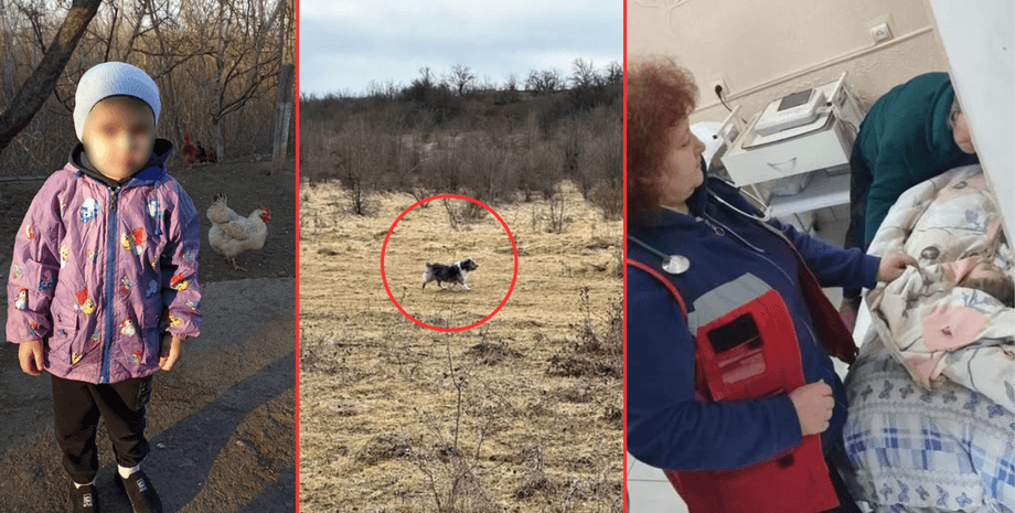 История спасения, спасение, пропавший ребенок, Винницкая область, Национальная полиция, полиция, нашли ребенка, спас пес, ребенка спас пес