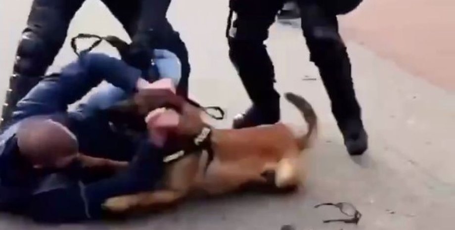 Нидерланды, Гаага, COVID-протест, митингующие, полиция, разгон, собаки,