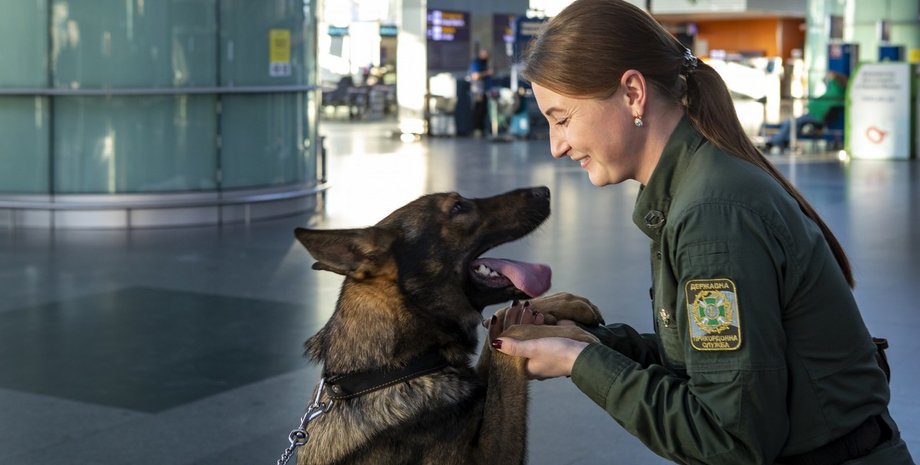 госпогранслужба, собаки, пограничники, гпсу, вынюхивают, погранконтроль, псы