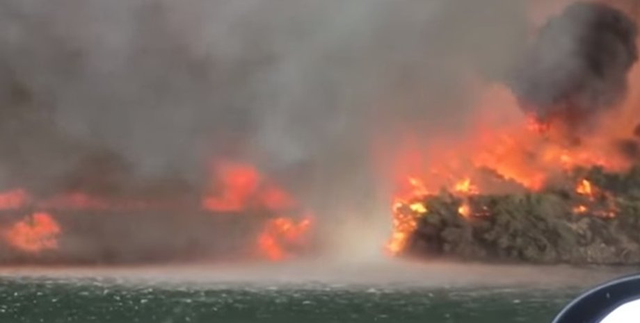 Фото: Скриншот