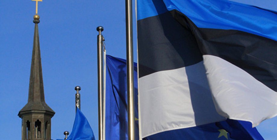 Флаг Эстонии/Фото: НСН