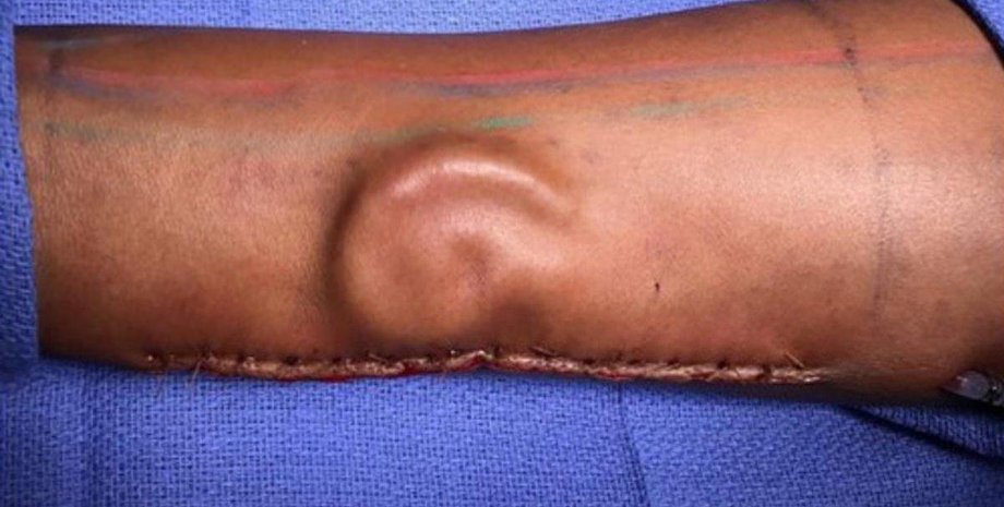 Фото: twitter.com/nbcchicago