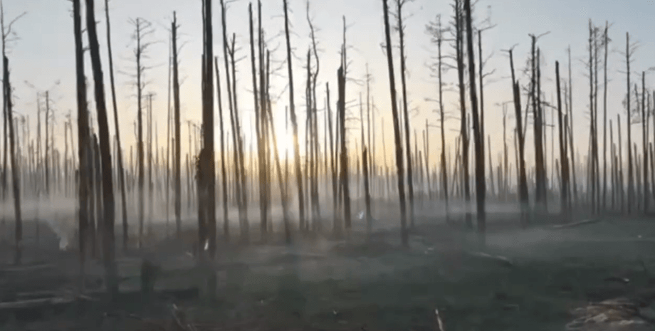 Серебрянский лес, линия фронта, Серебрянский заказник, Северский Донец, луганская область, Кременная