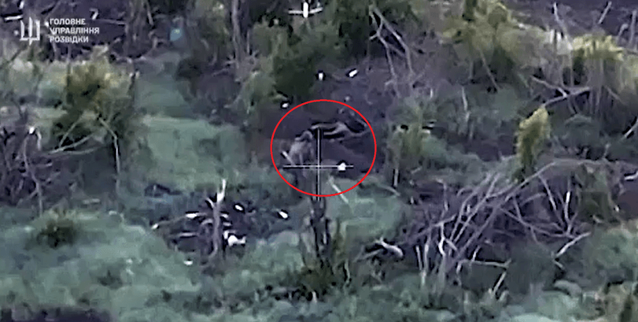 казнь, военное преступление, ВС РФ расстрел