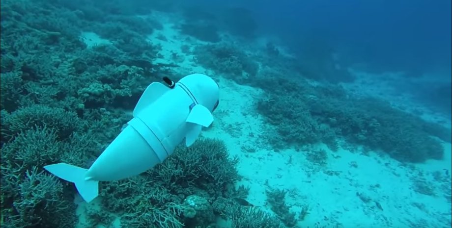 Кадр из видео