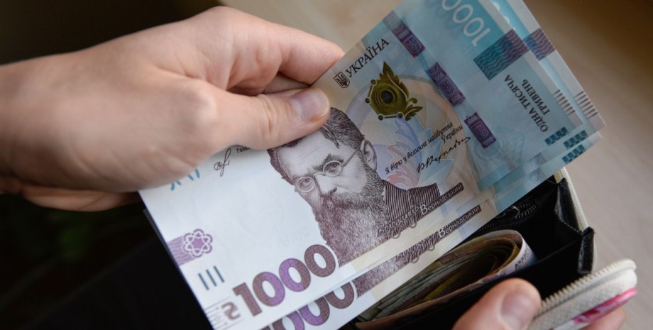 Тисяча Зеленського стала найпопулярнішою онлайн-послугою тисяча Зеленського, зимова єПідтримка, Дія, виплата, грошова допомога