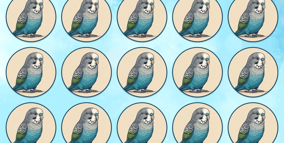 Попугай, визуальная головоломка, тест, проверка зрения, тренировка памяти, задача, тест, найти отличие, найдите попугая