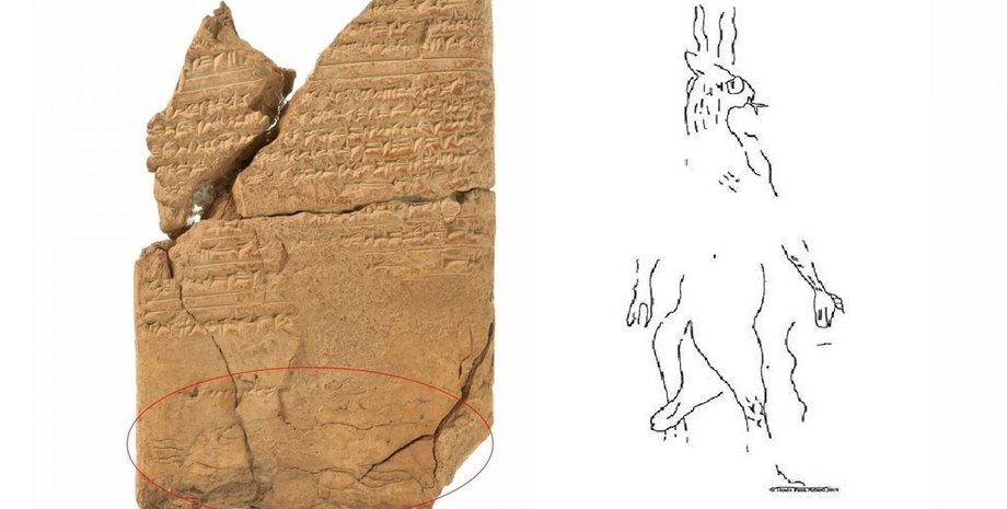 Фото: University of Copenhagen