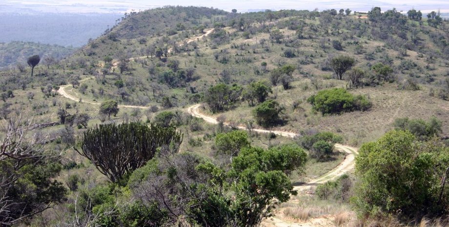 Кенія, гра, археологи, вчені, сокири, аркада, знахідка, археологія, наука, Африка, Стародавній Єгипет, поховання, ніж, бенкет, скотарі, відкриття, скарб, дошка, датування, туристи, заповідник