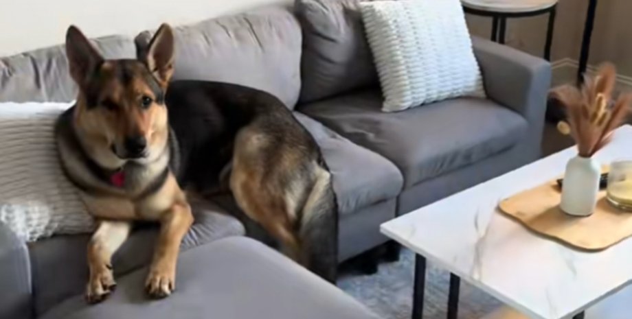 Женщина купила диван в Facebook, который оказался слишком малым для взрослых