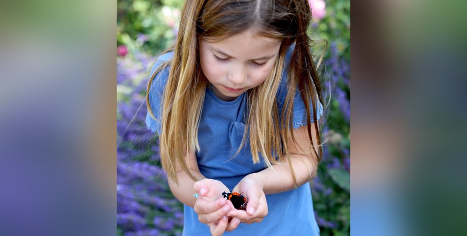 Принцесса Шарлотта, бабочки