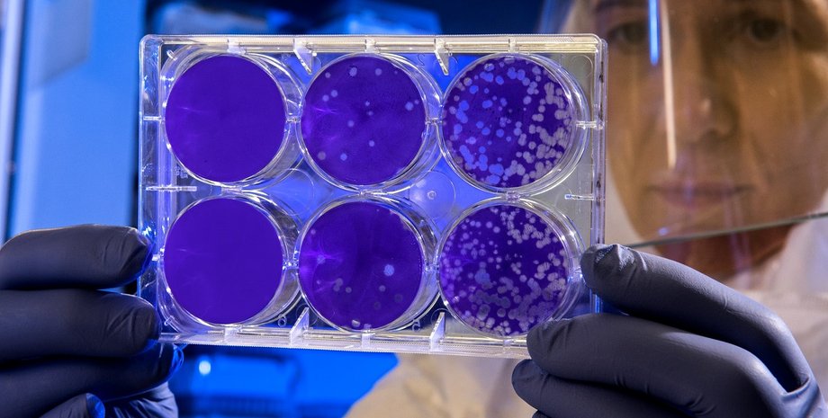 Фото: unsplash.com