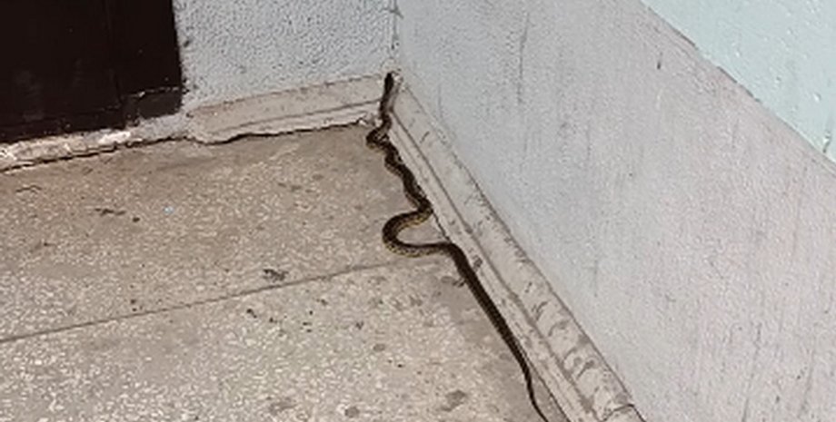 Жители более получаса не могли попасть домой