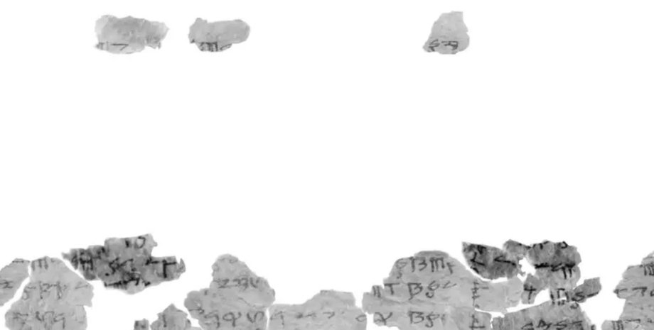 Фото: haifa.ac.il