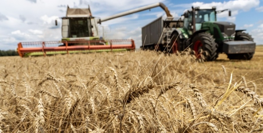 Україна, ембарго зерна, агропродукція, СОТ