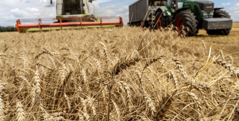 Україна, ембарго зерна, агропродукція, СОТ