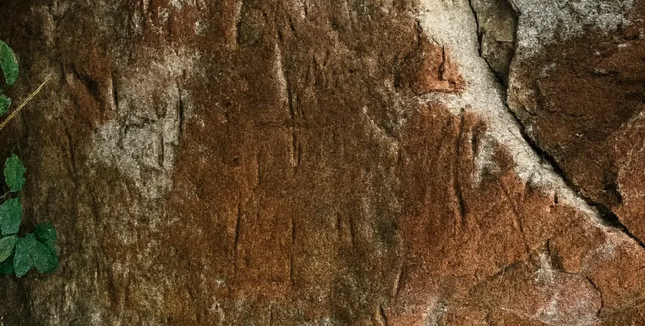 археологи провели раскопки