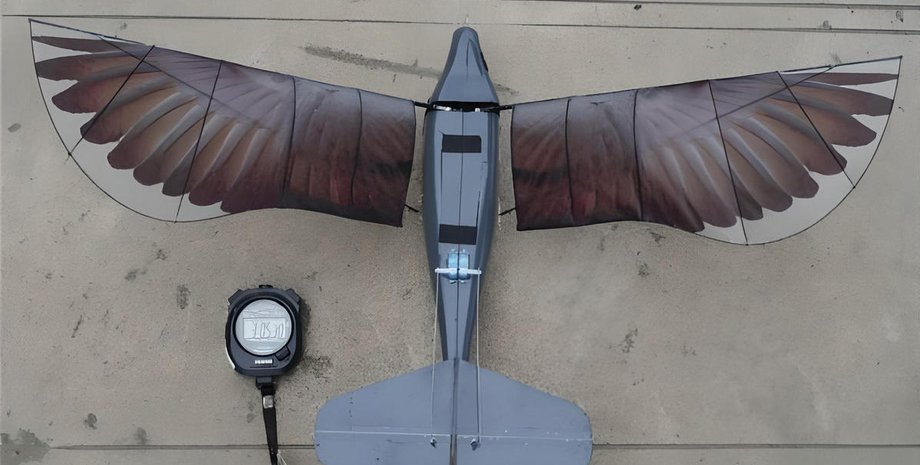 орнитоптер, дрон птица, Xinge, Китай