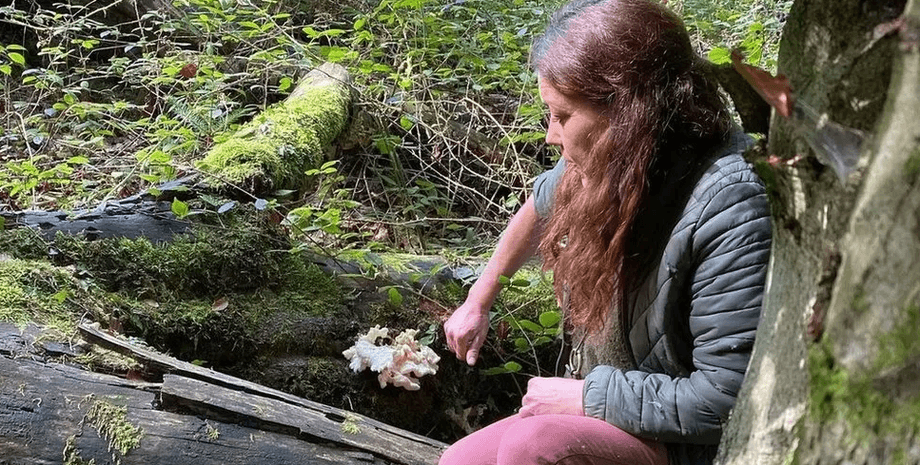 Гериций съедобный (Hericium Cirrhatum)