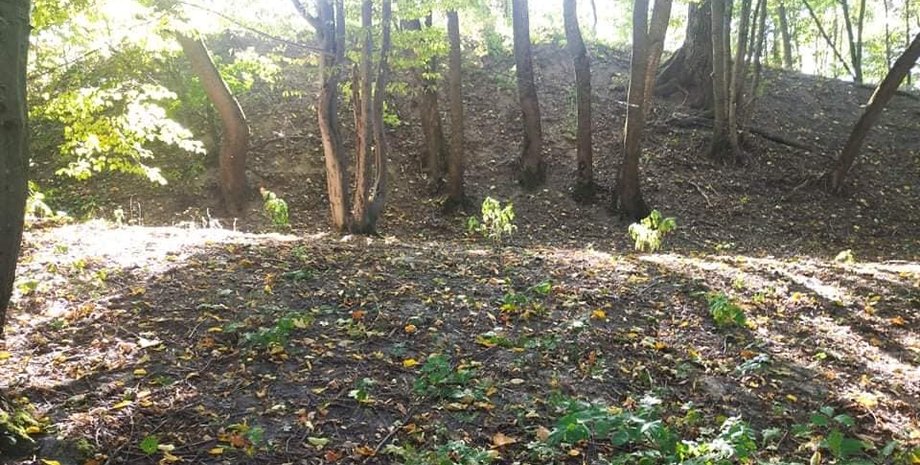 Фото: Александр Алферов / Facebook