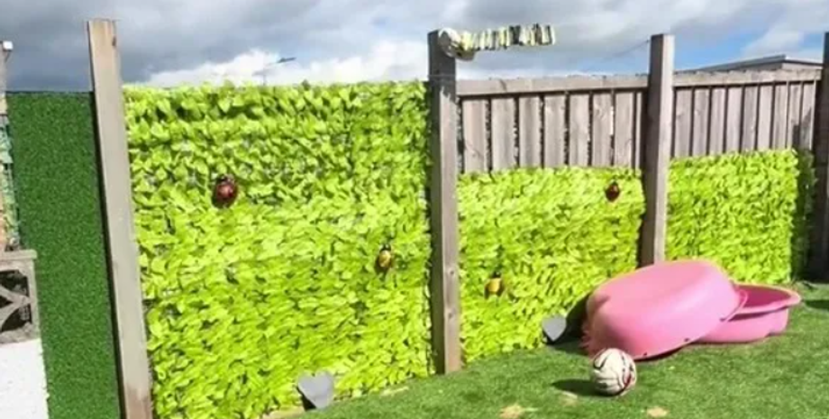 Хизер Барклай из Великобритании, скандал с соседями, забор из плюща, курьезы, креативные решения, дизайн