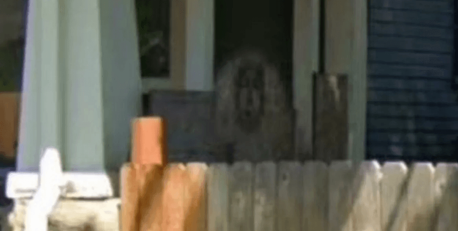 Жінка помітила привида, паранормальна сутність, Google Maps, загадкова фігура, вірусне фото, форум