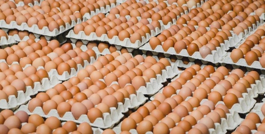 Ціни на яйця, ціни на продукти, подорожчання курячих яєць в Україні, що буде з цінами на яйця