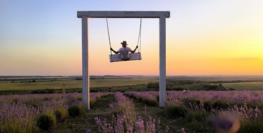 подружжя зі Львівщини висадило найбільше лавандове поле в Україні