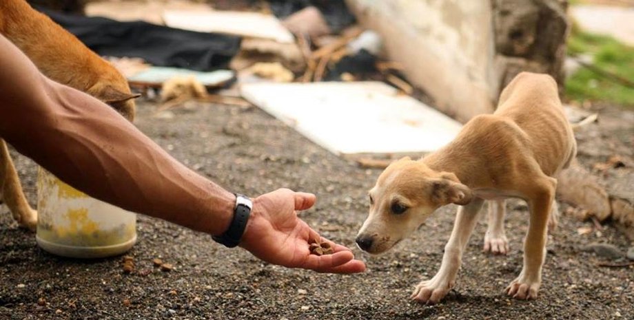 Иллюстративное фото