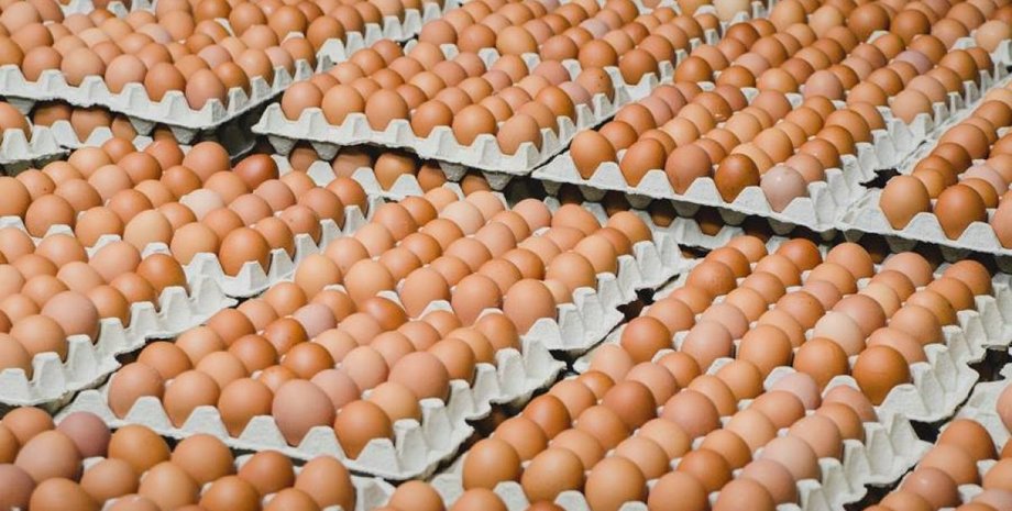 Цены на яйца, цены на продукты, подорожание куриных яиц в Украине, что будет с ценами на яйца