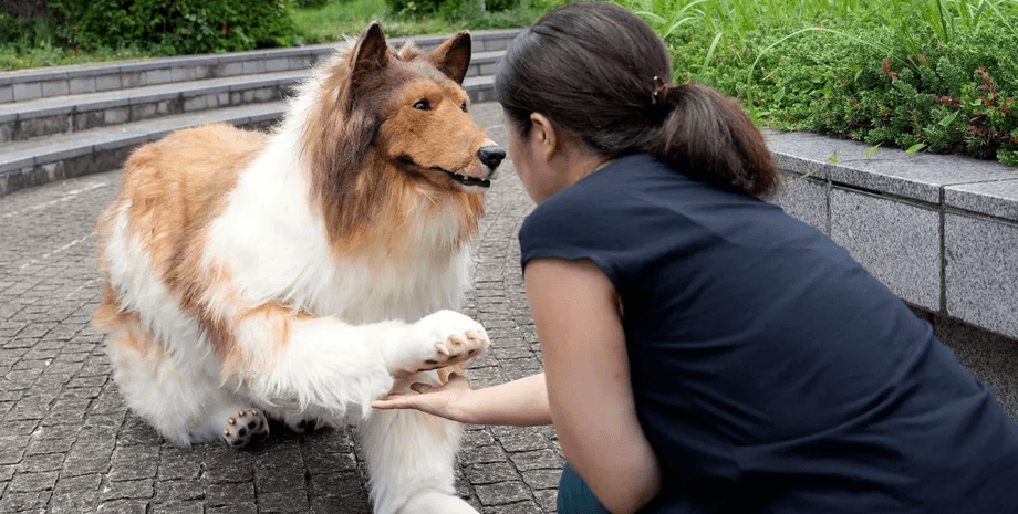 Собака, людина, костюм собаки, реалістичний костюм, чоловік став собакою, відкрив зоопарк, образ собаки, костюм тварини