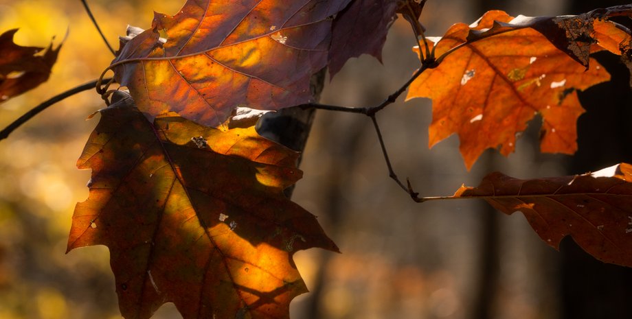 прогноз погоды, погода на неделю, потепление