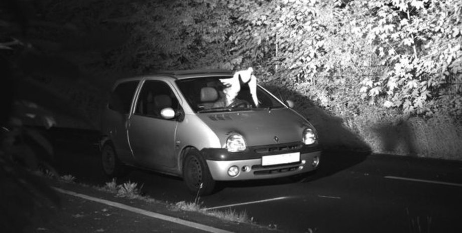 Фото: Viersen District Police