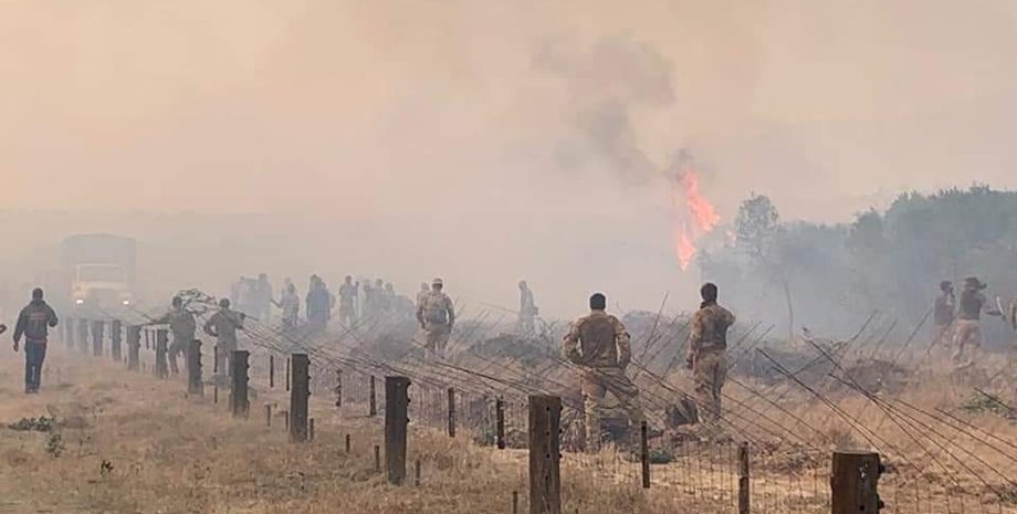заповедник, пожар, кения, британские военные, погибший слон, слон, Лоллдайга