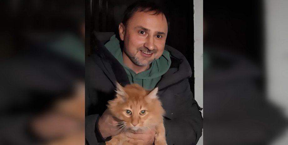 Інцидент з котом, порятунок кота, кіт у квартирі, кіт голодний, Зоозахисники про кота, інцидент з котом і ТЦК