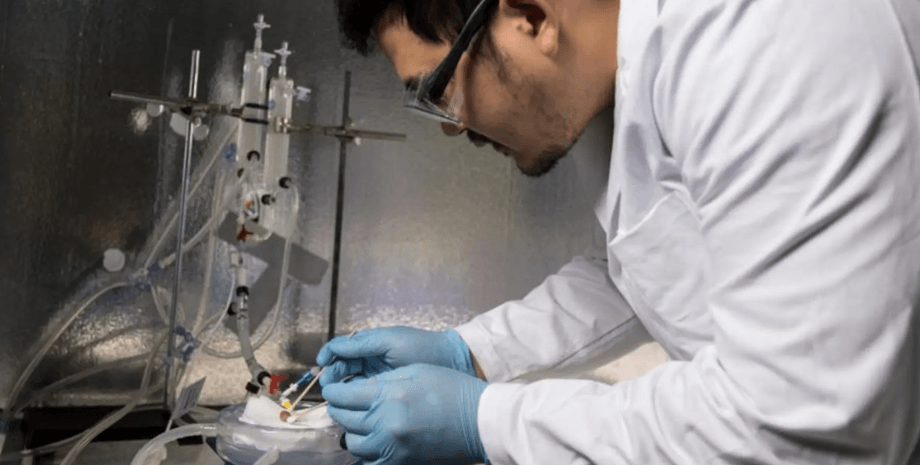 трансплантация