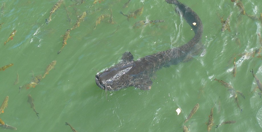 Фото: из личных архивов