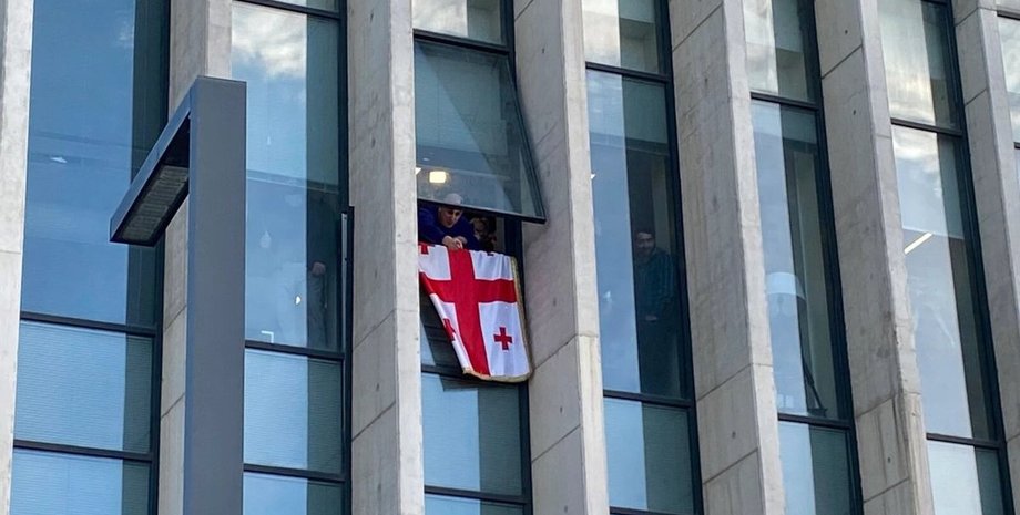 Грузия, Тбилиси, Никанор Мелия, Саакашвили, задержание, премьер-министр