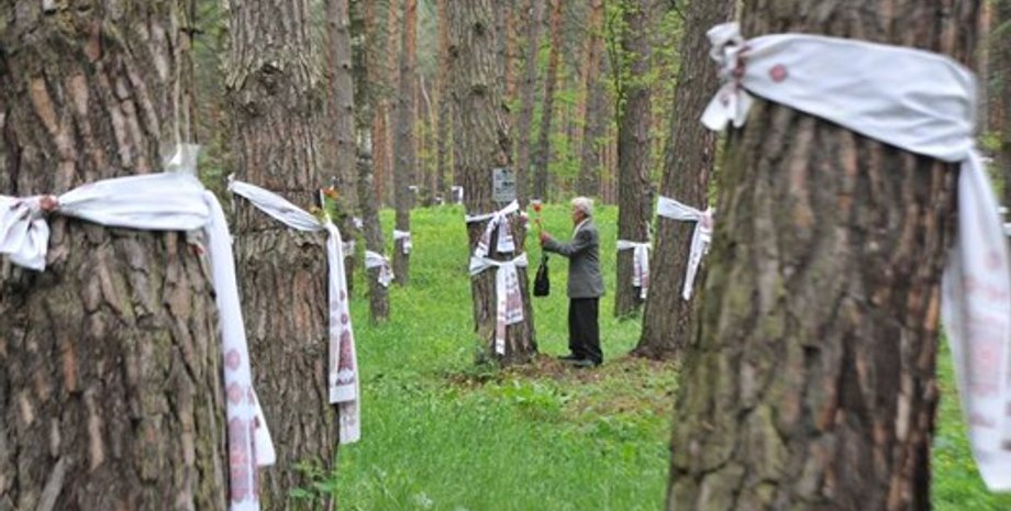 Места массовых расстрелов поляков в Быковне / Фото из открытых источников