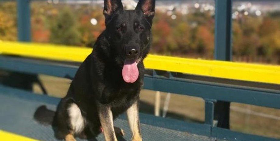 Фото: mukachevo.net