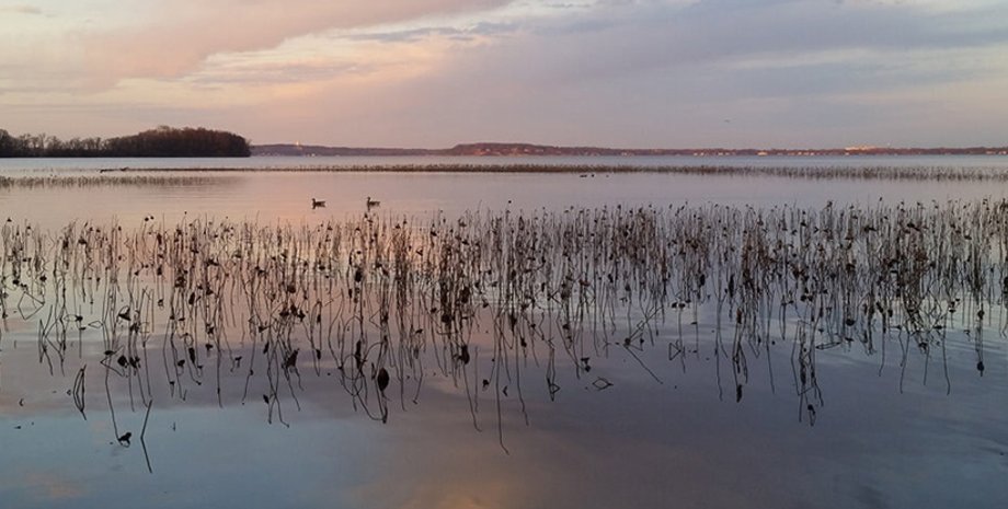 озеро мендота, бактерії в озері, озеро бактерії