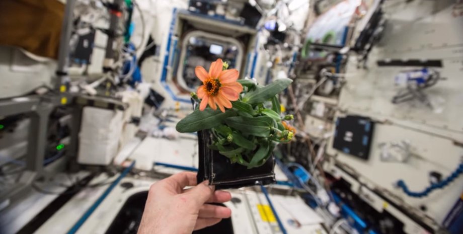 Кадр из видео пользователя NASA Johnson на YouTube